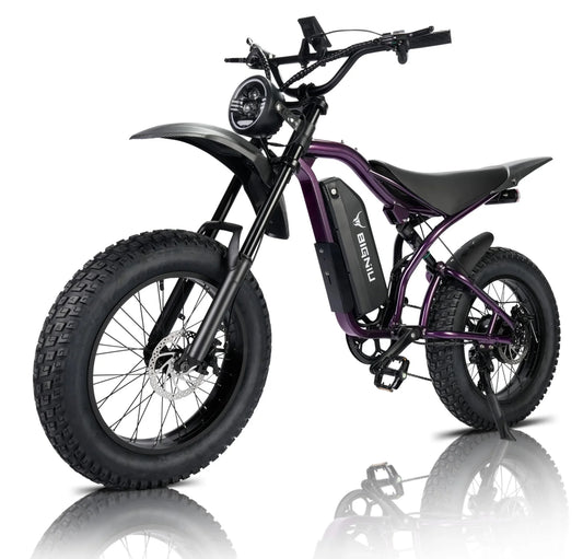 BG-S Electric Bike