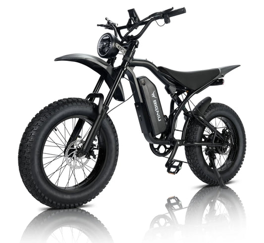 BG-S Electric Bike